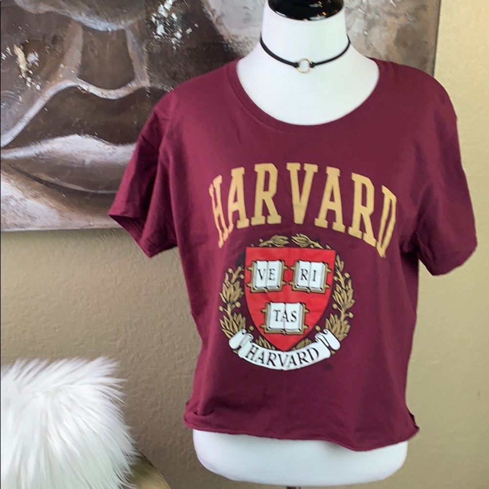 Maroon Cropped Harvard Tee by Cold Rush